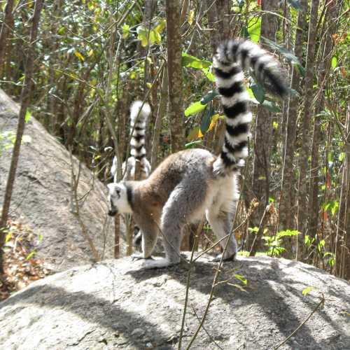 Madagascar