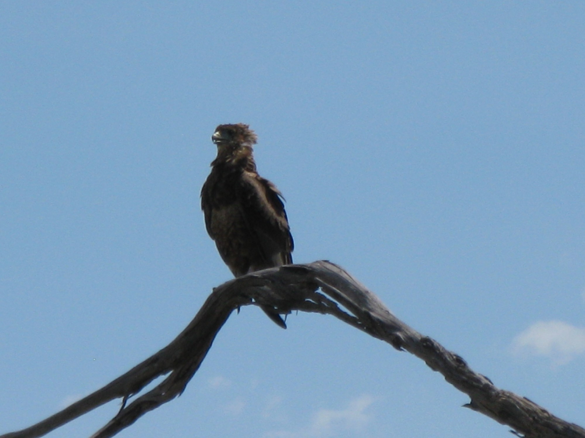 Botswana