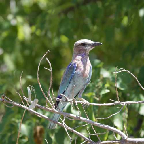 Namibia