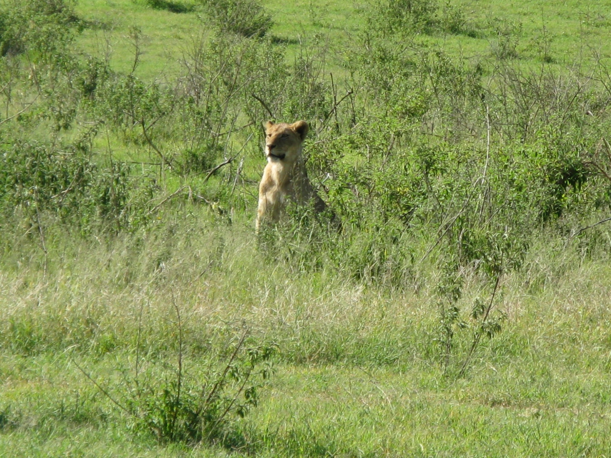 Tanzania