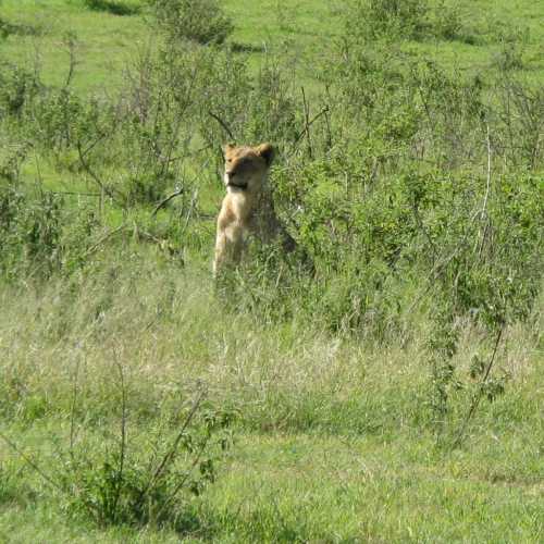 Tanzania