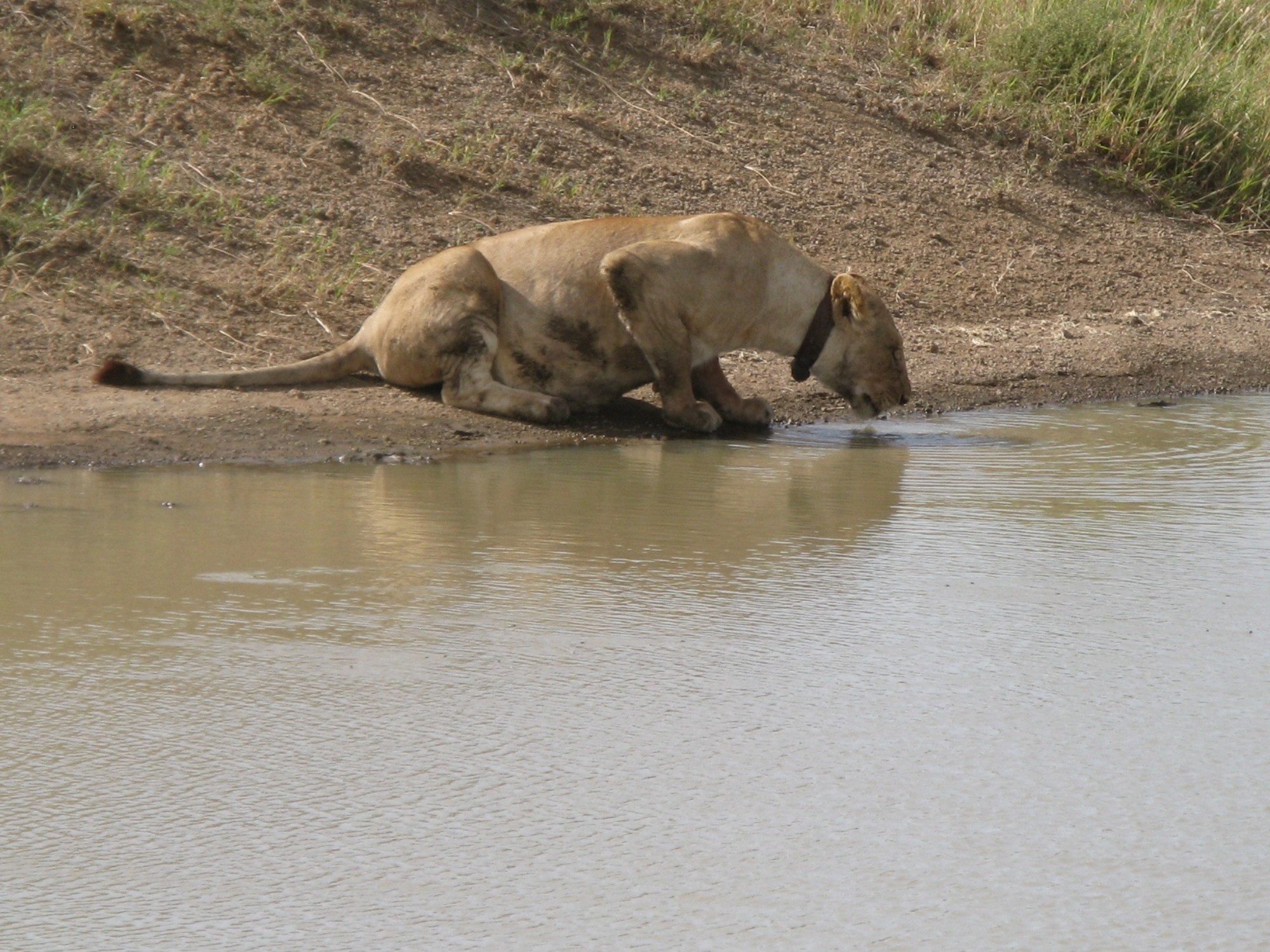 Tanzania