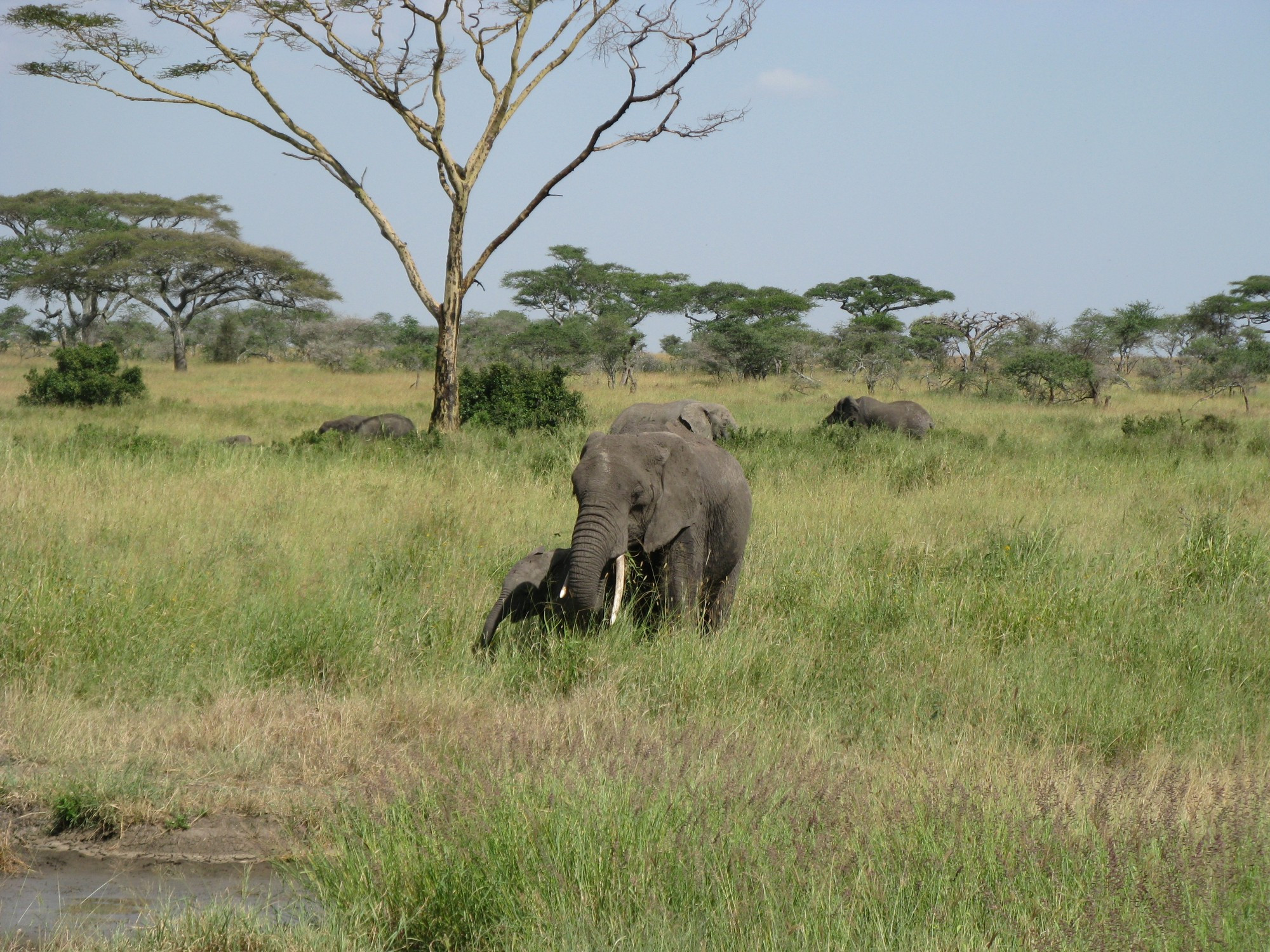 Tanzania