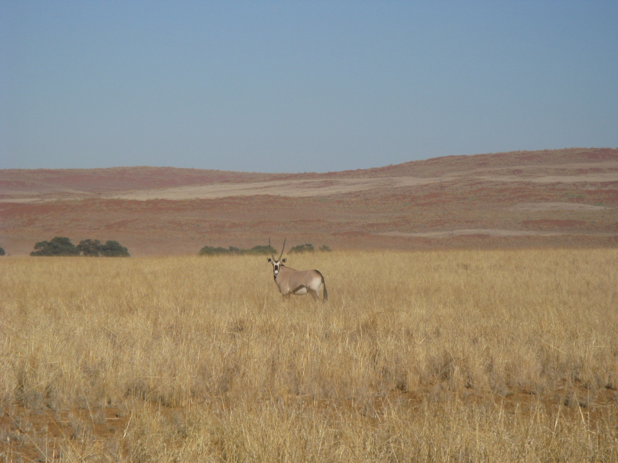 Namibia