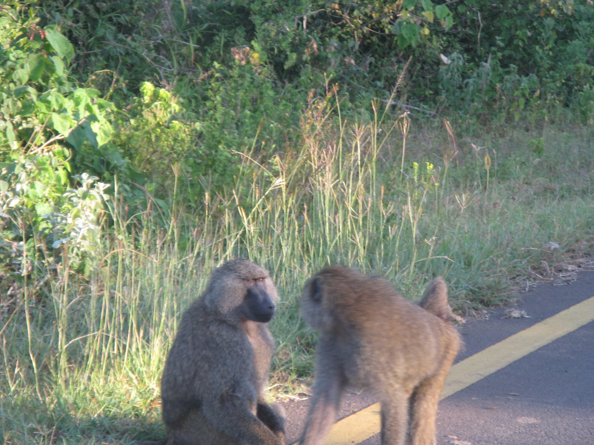 Tanzania