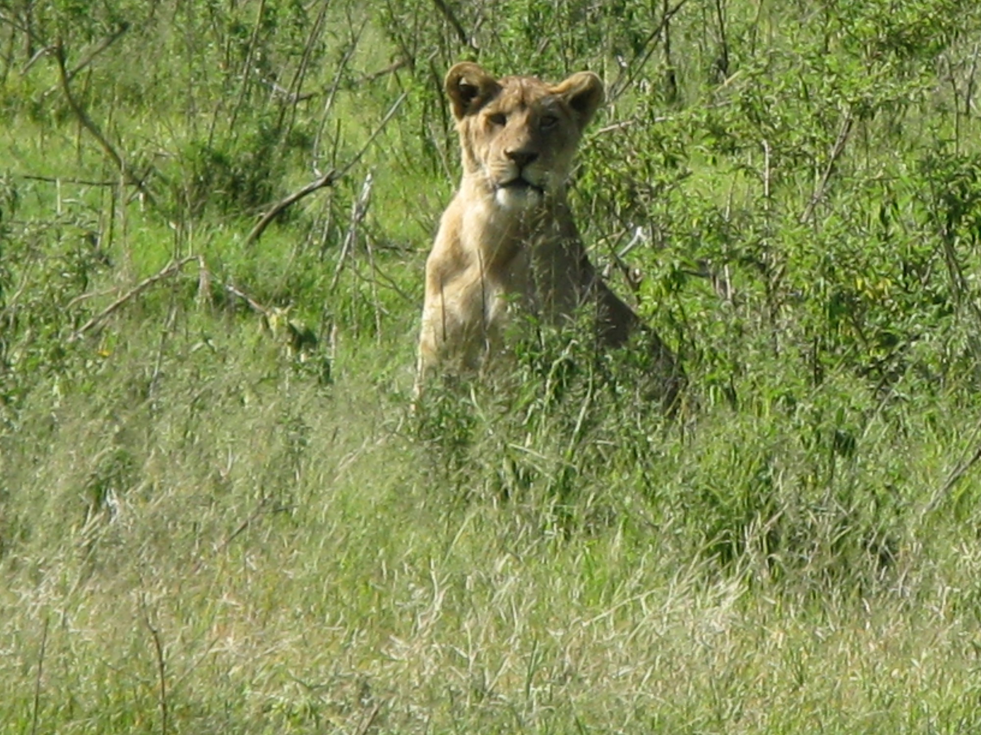 Tanzania