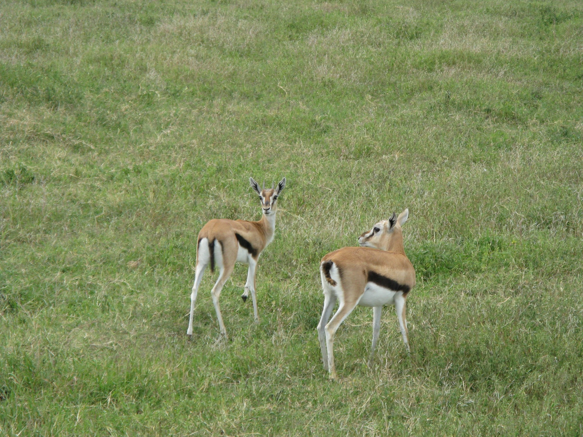 Tanzania