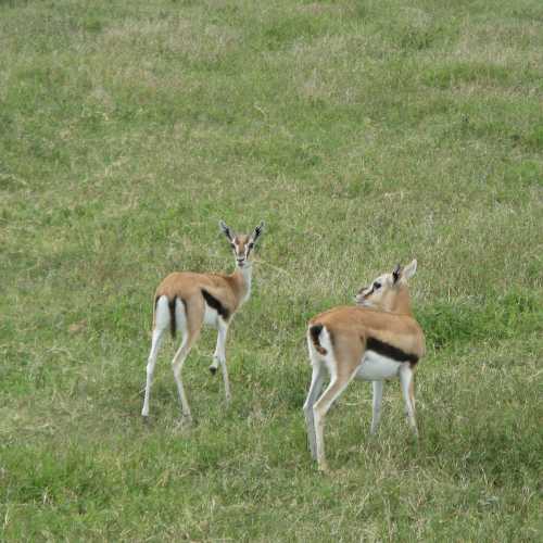 Tanzania