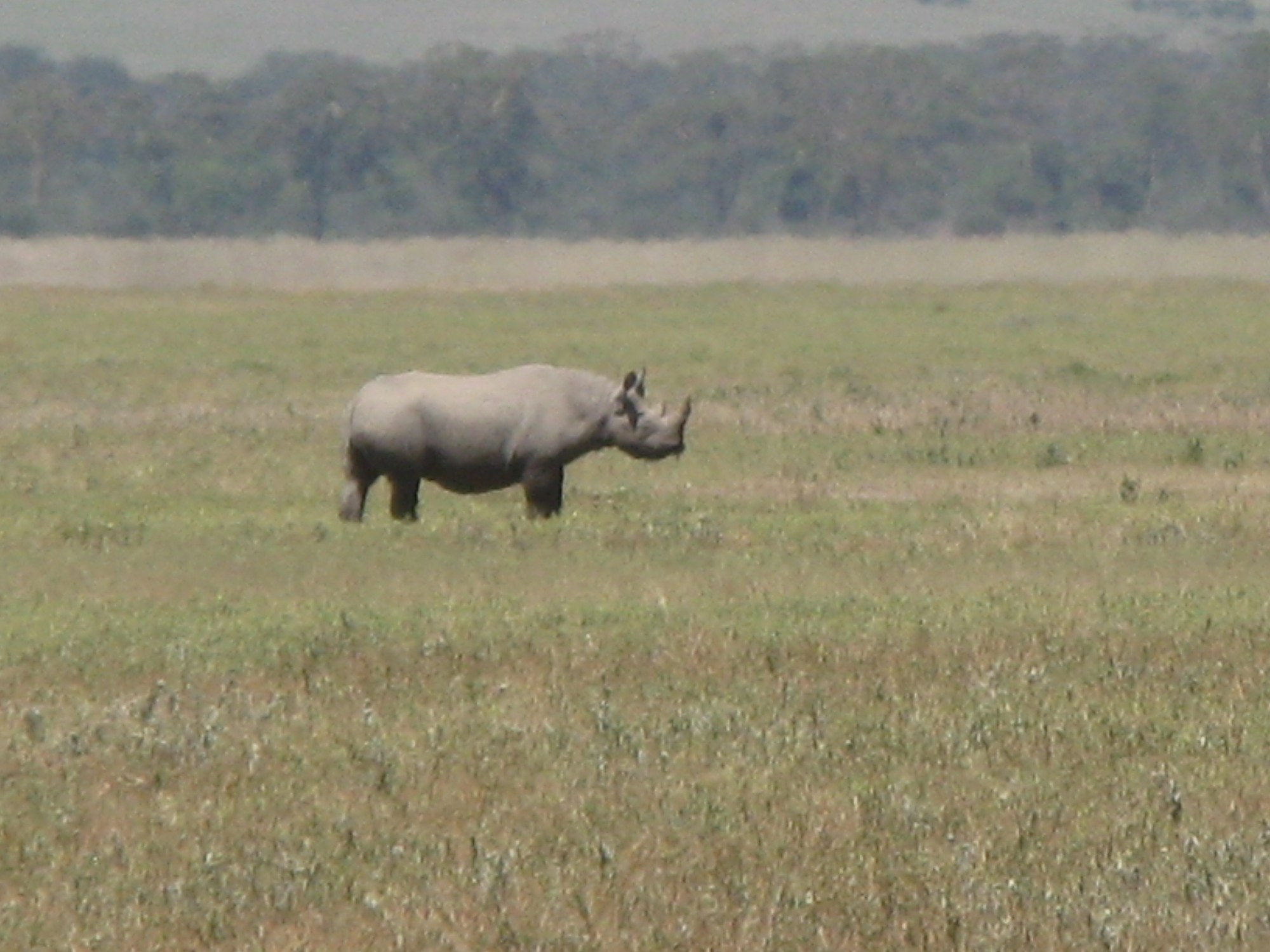 Tanzania