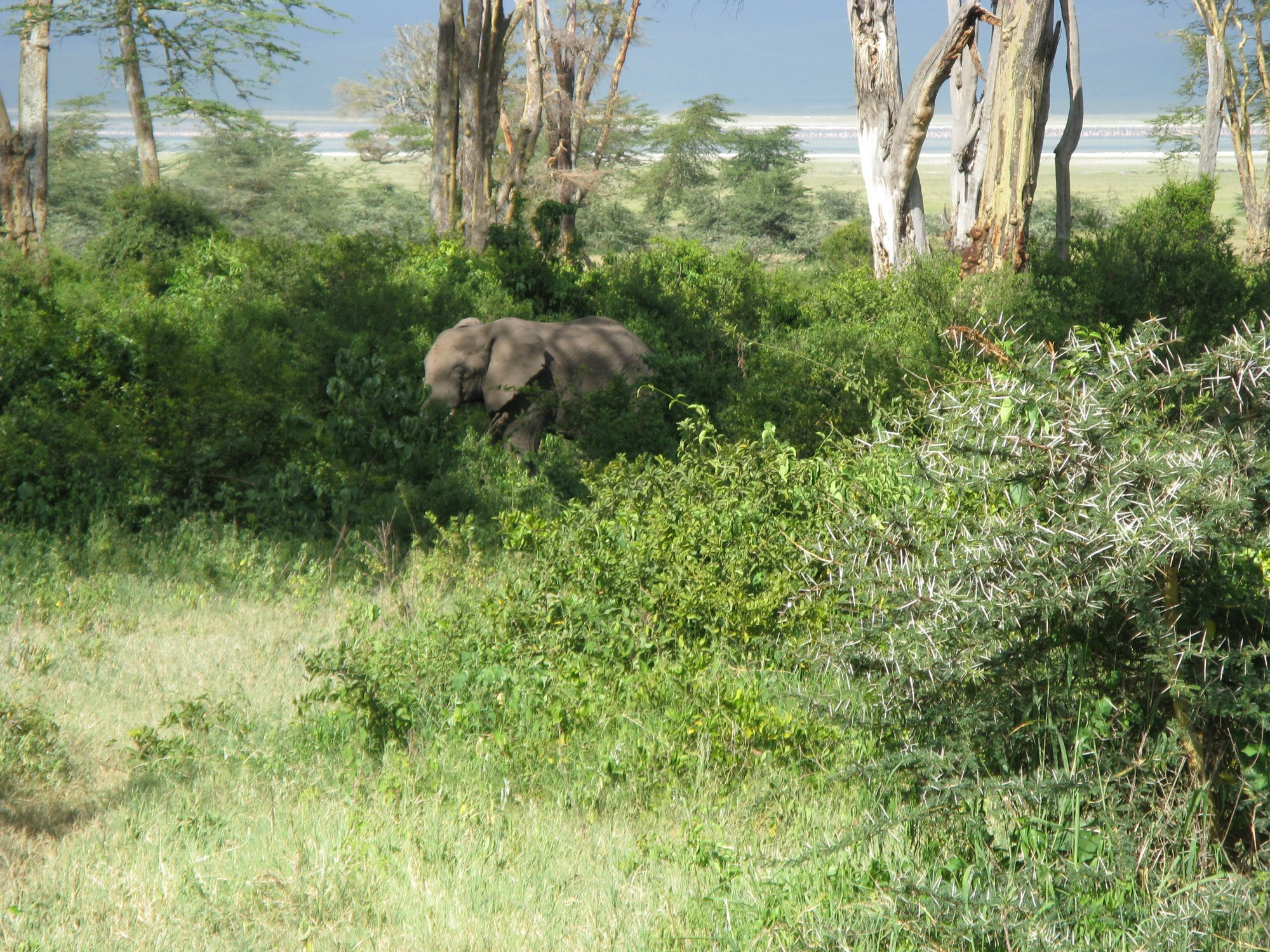 Tanzania