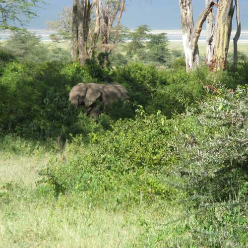 Tanzania