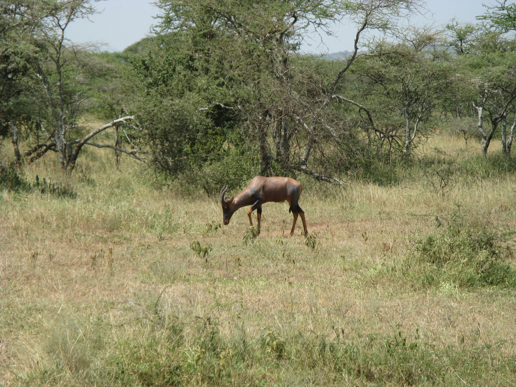 Tanzania