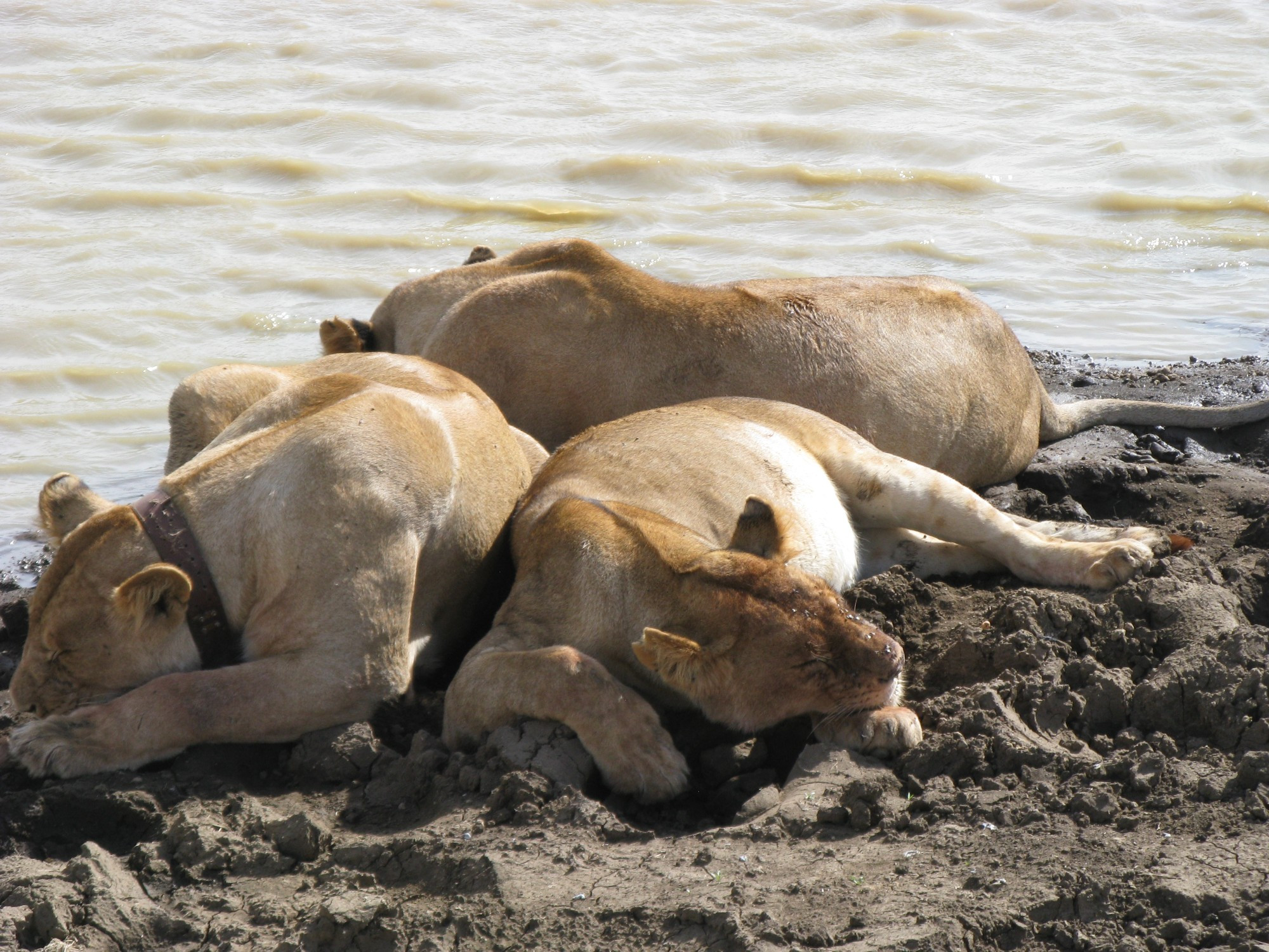 Tanzania