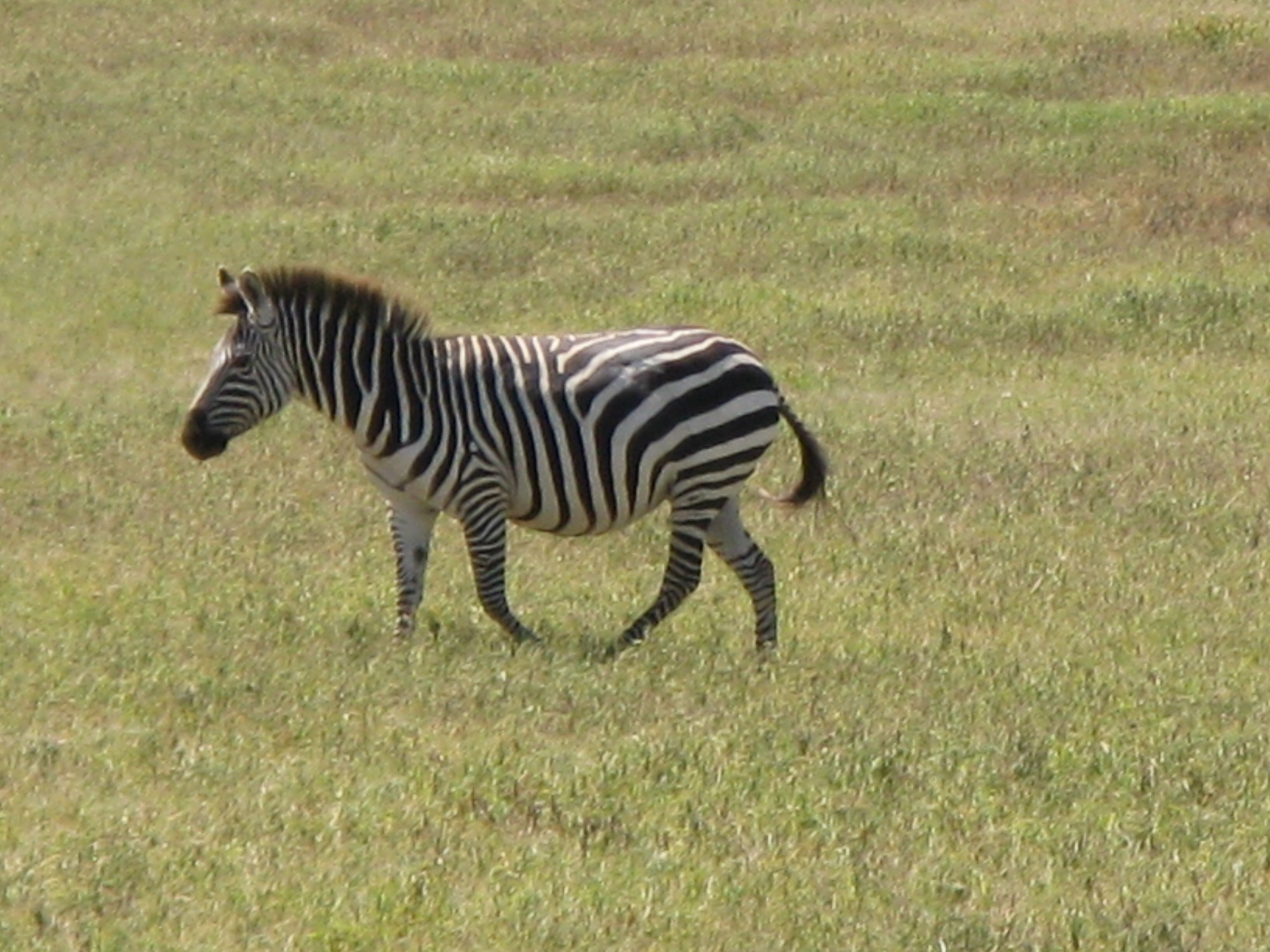 Tanzania