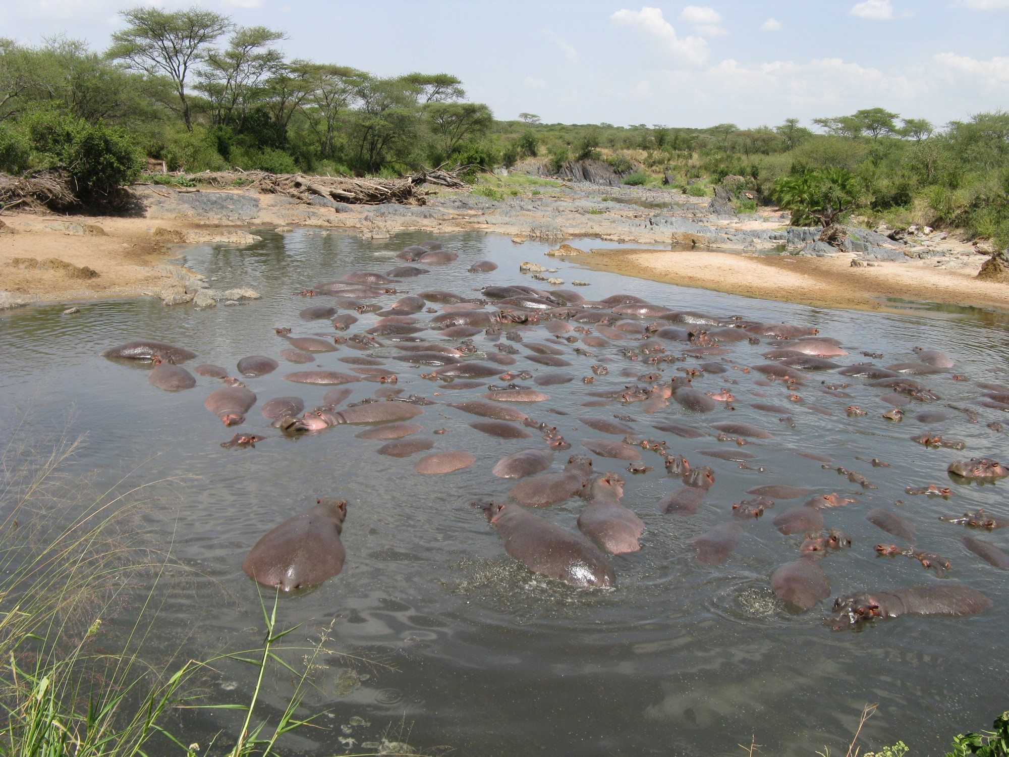 Tanzania