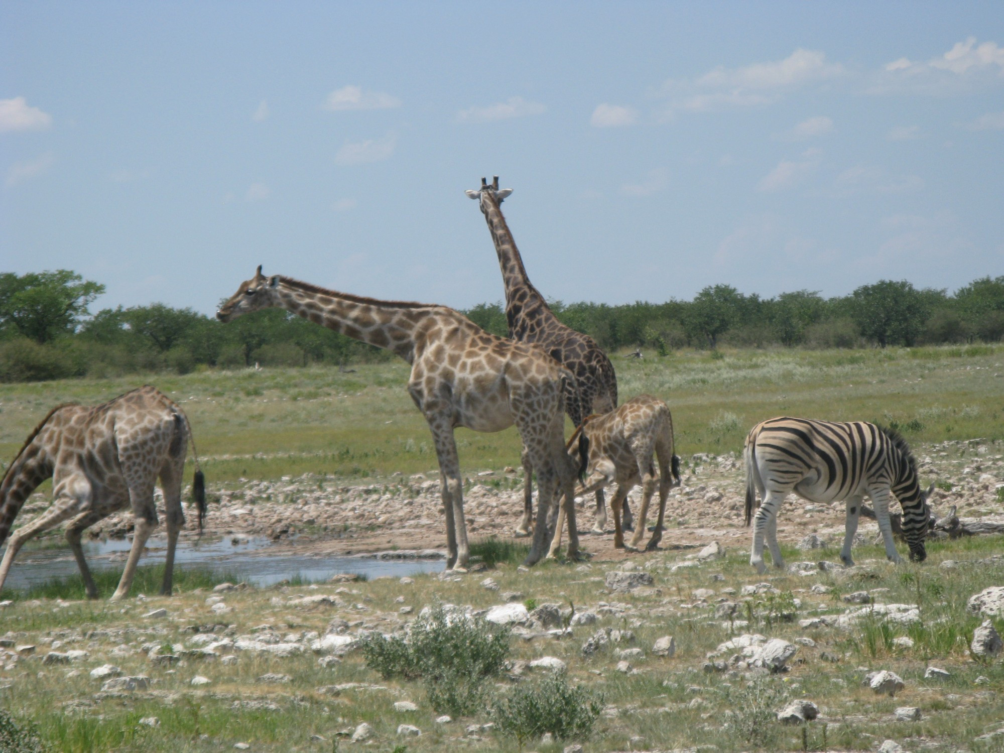 Namibia