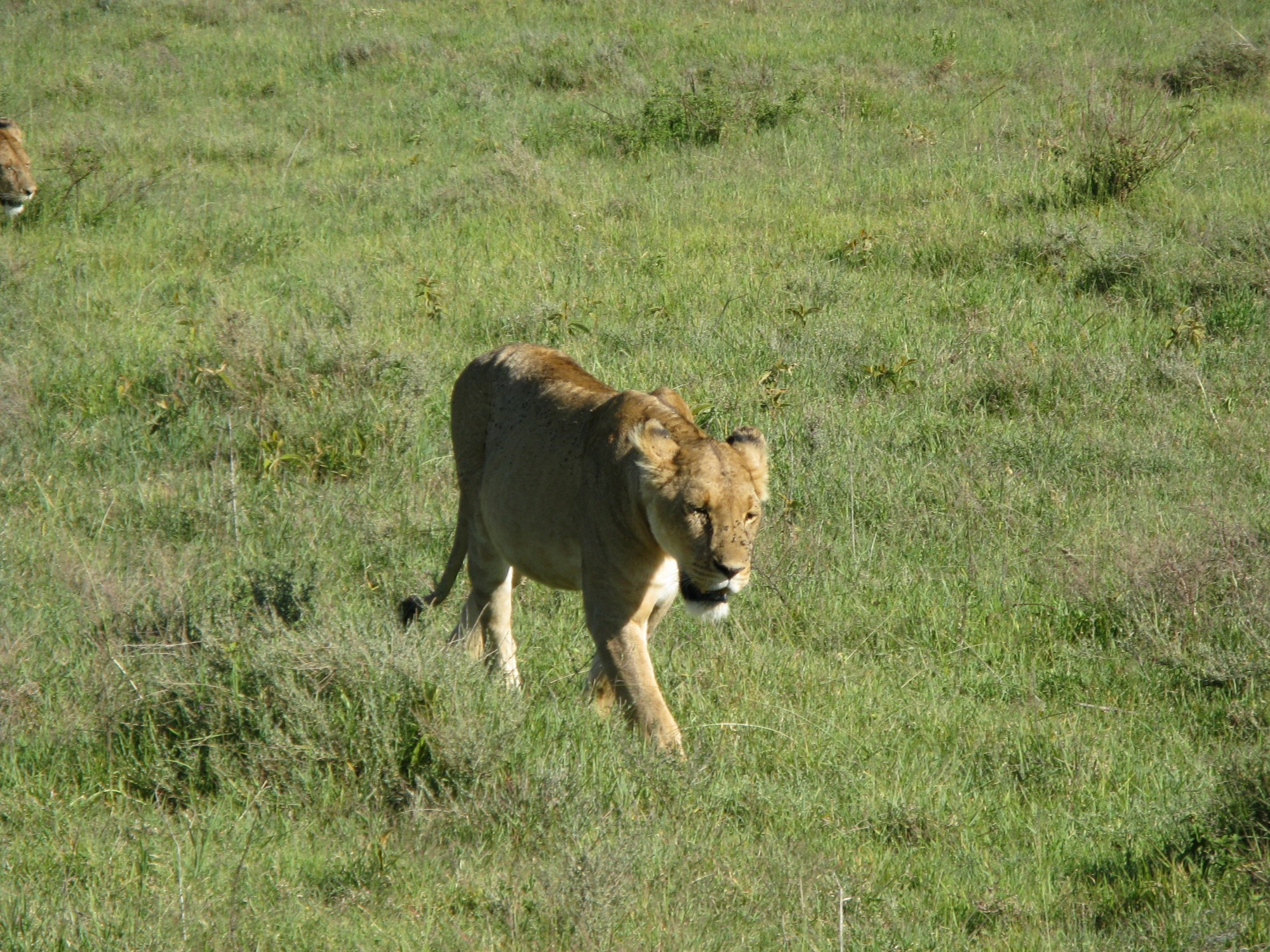 Tanzania