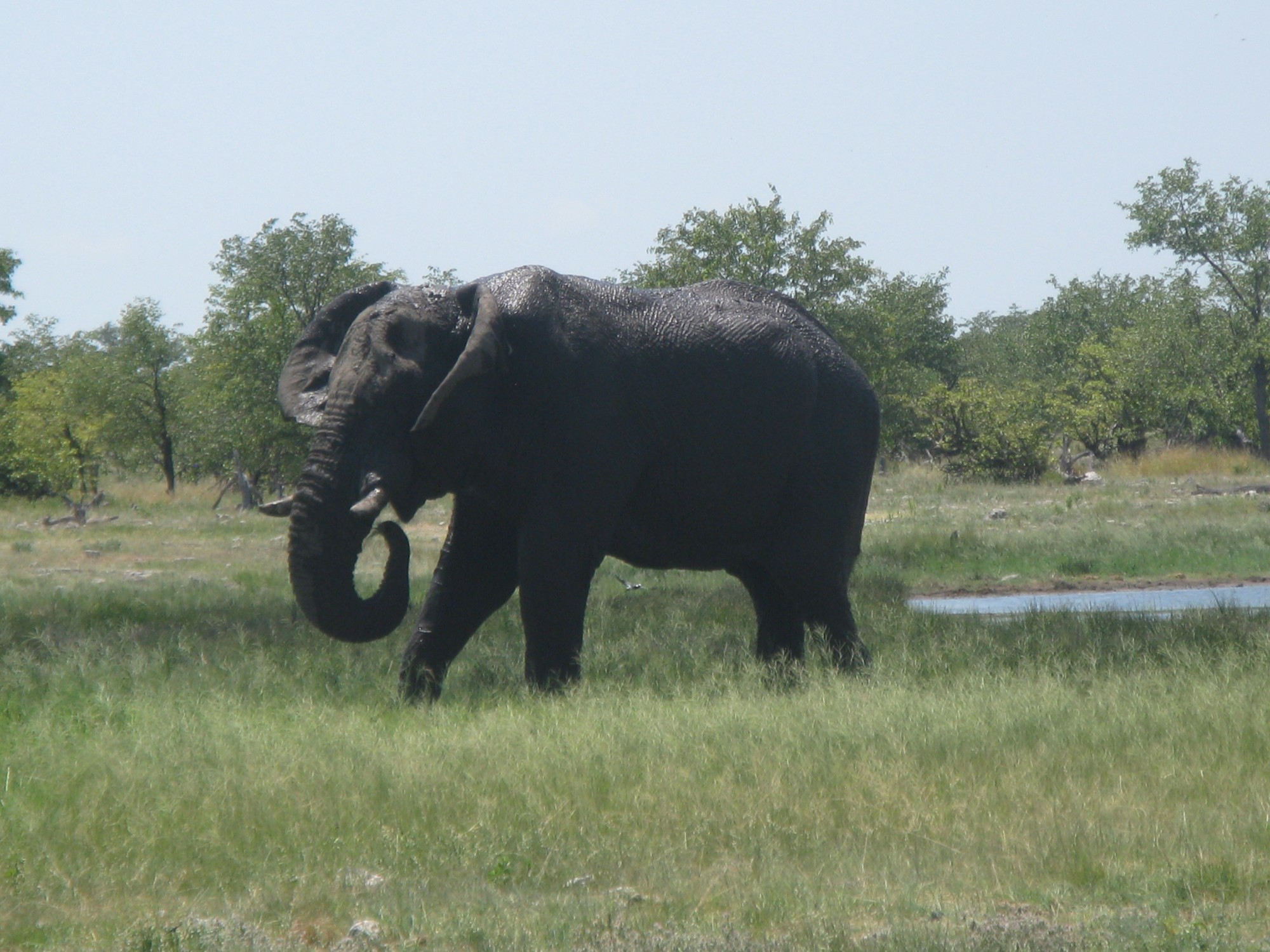 Namibia