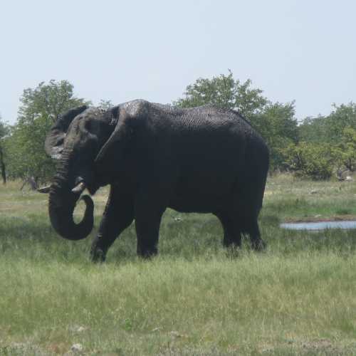 Namibia