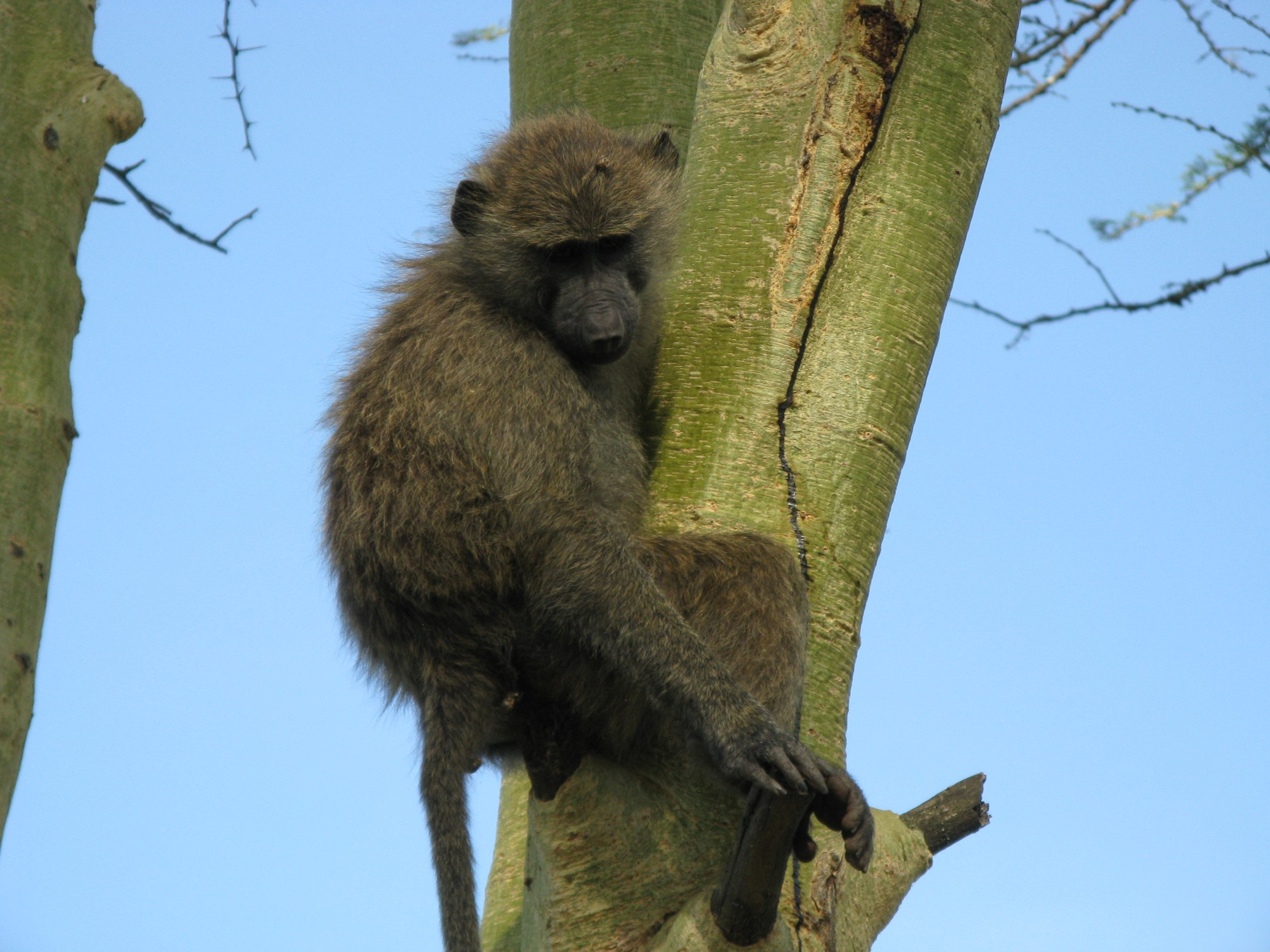 Tanzania