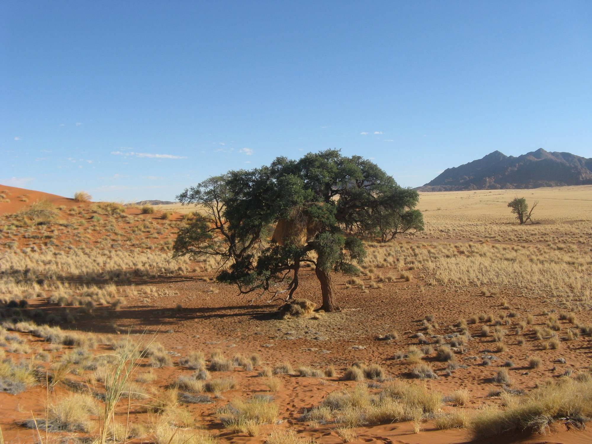 Namibia