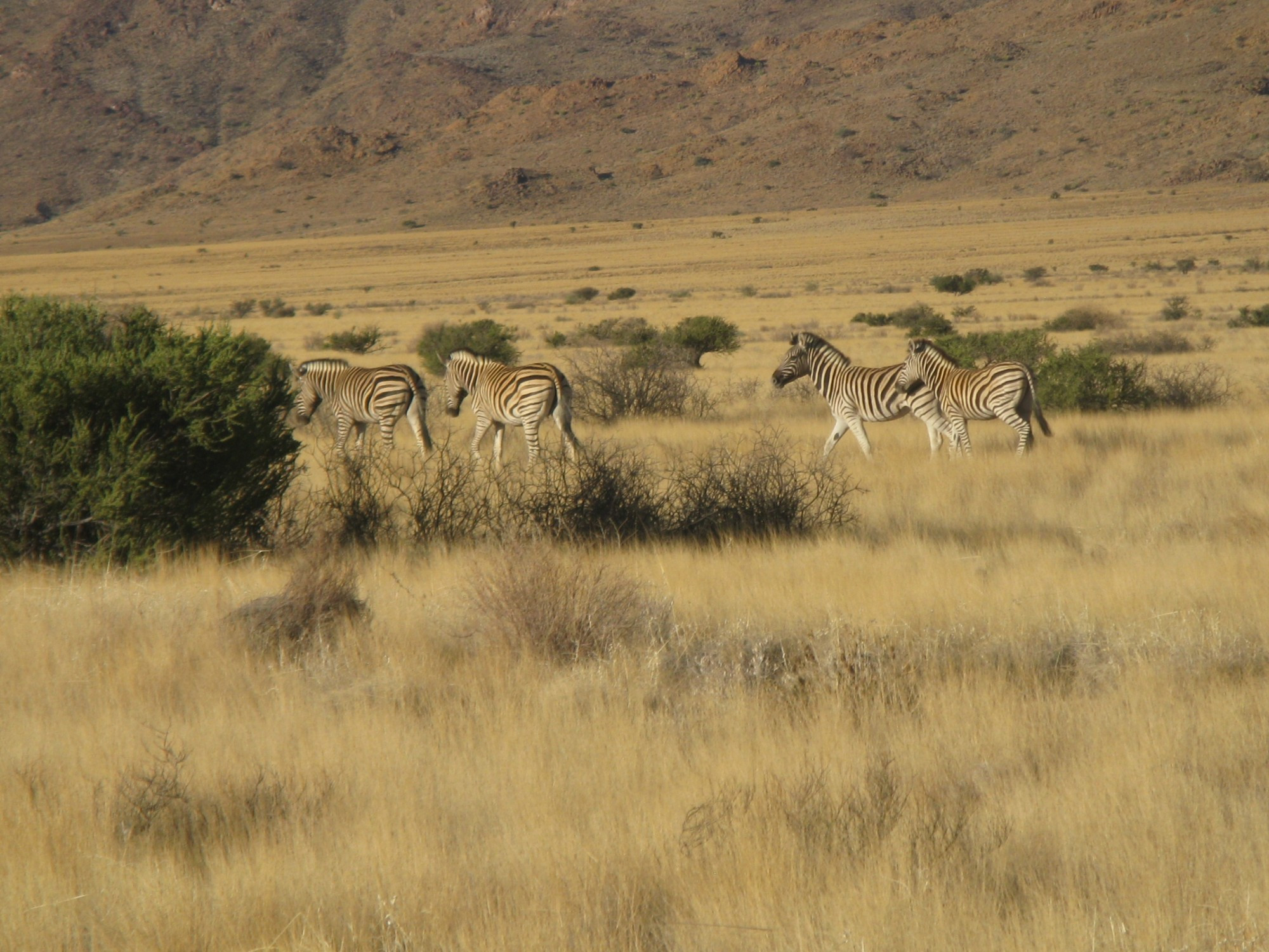 Namibia