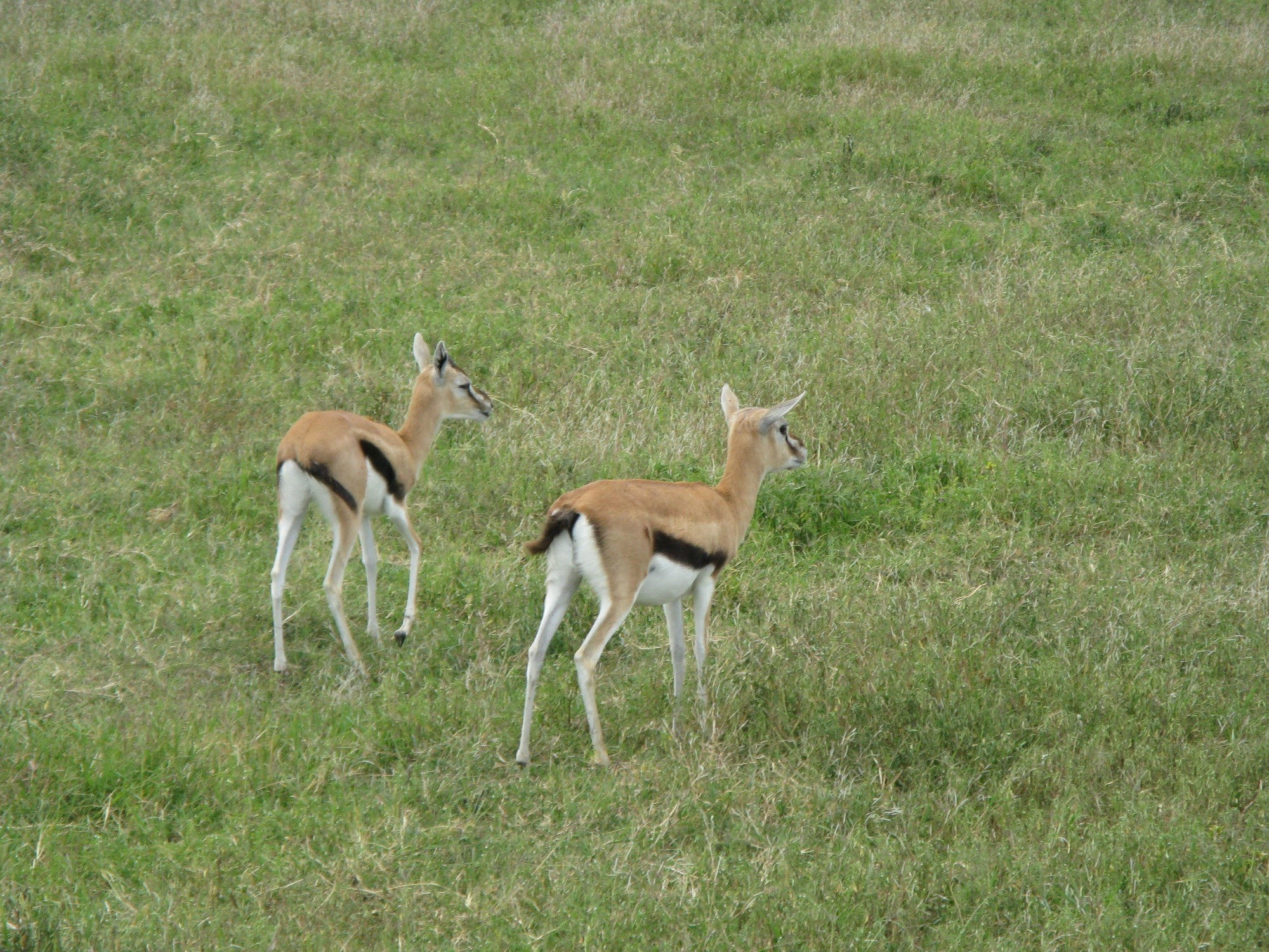 Tanzania