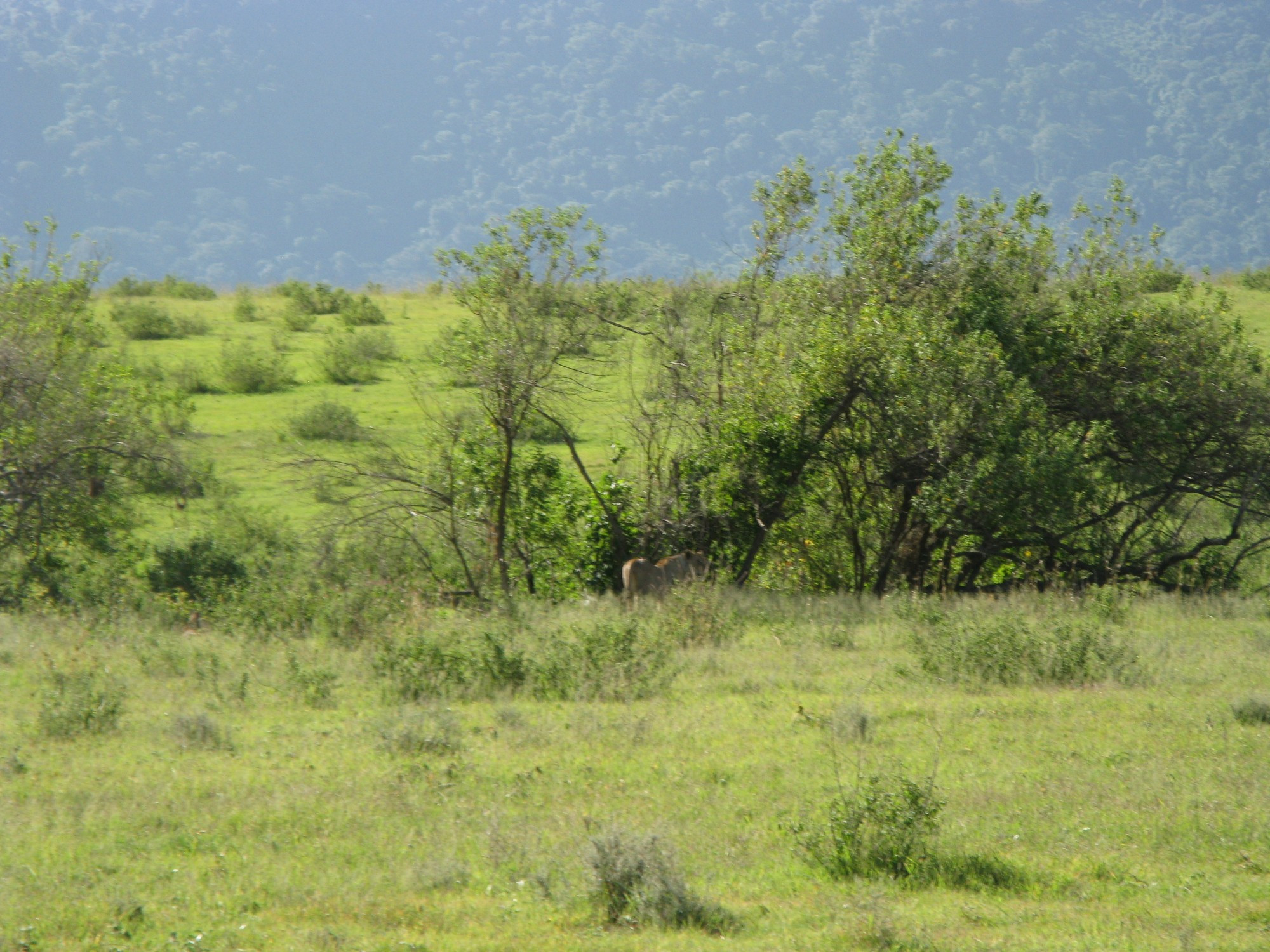 Tanzania