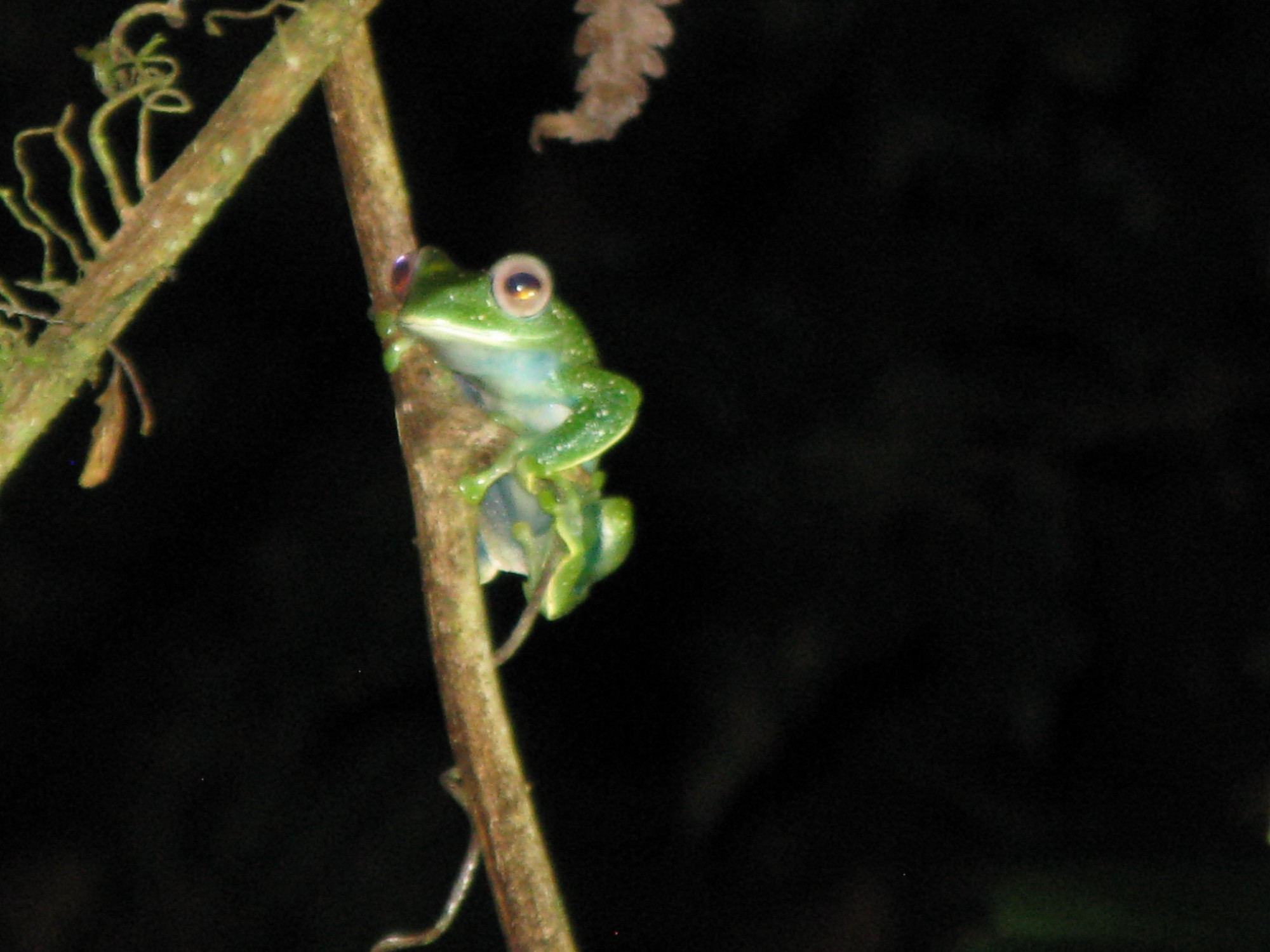 Madagascar