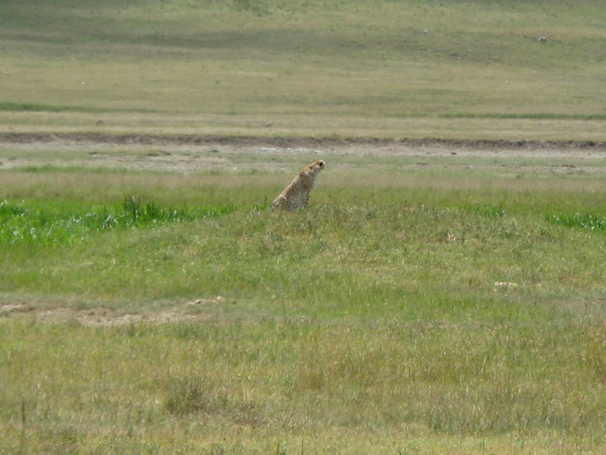 Tanzania