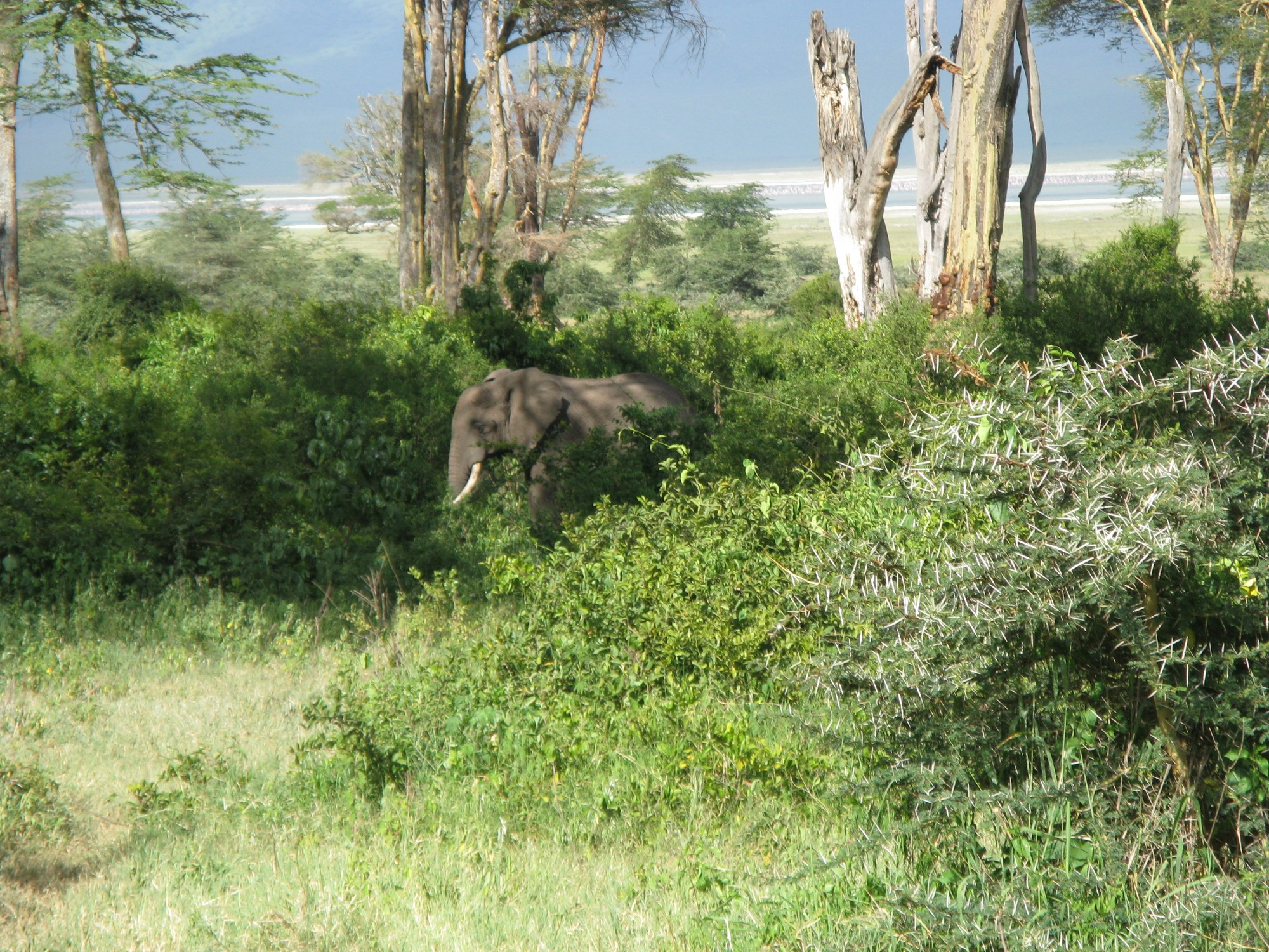 Tanzania