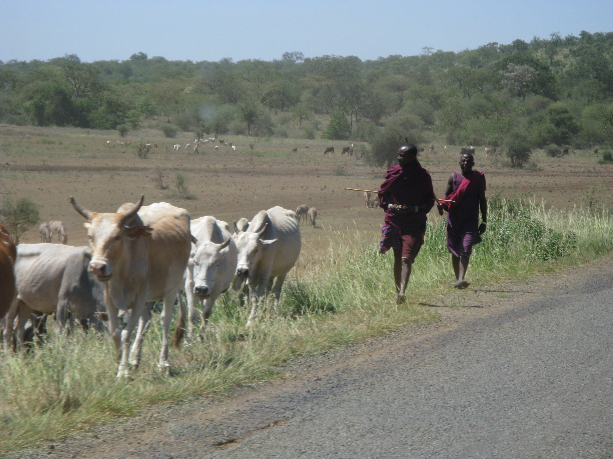 Tanzania