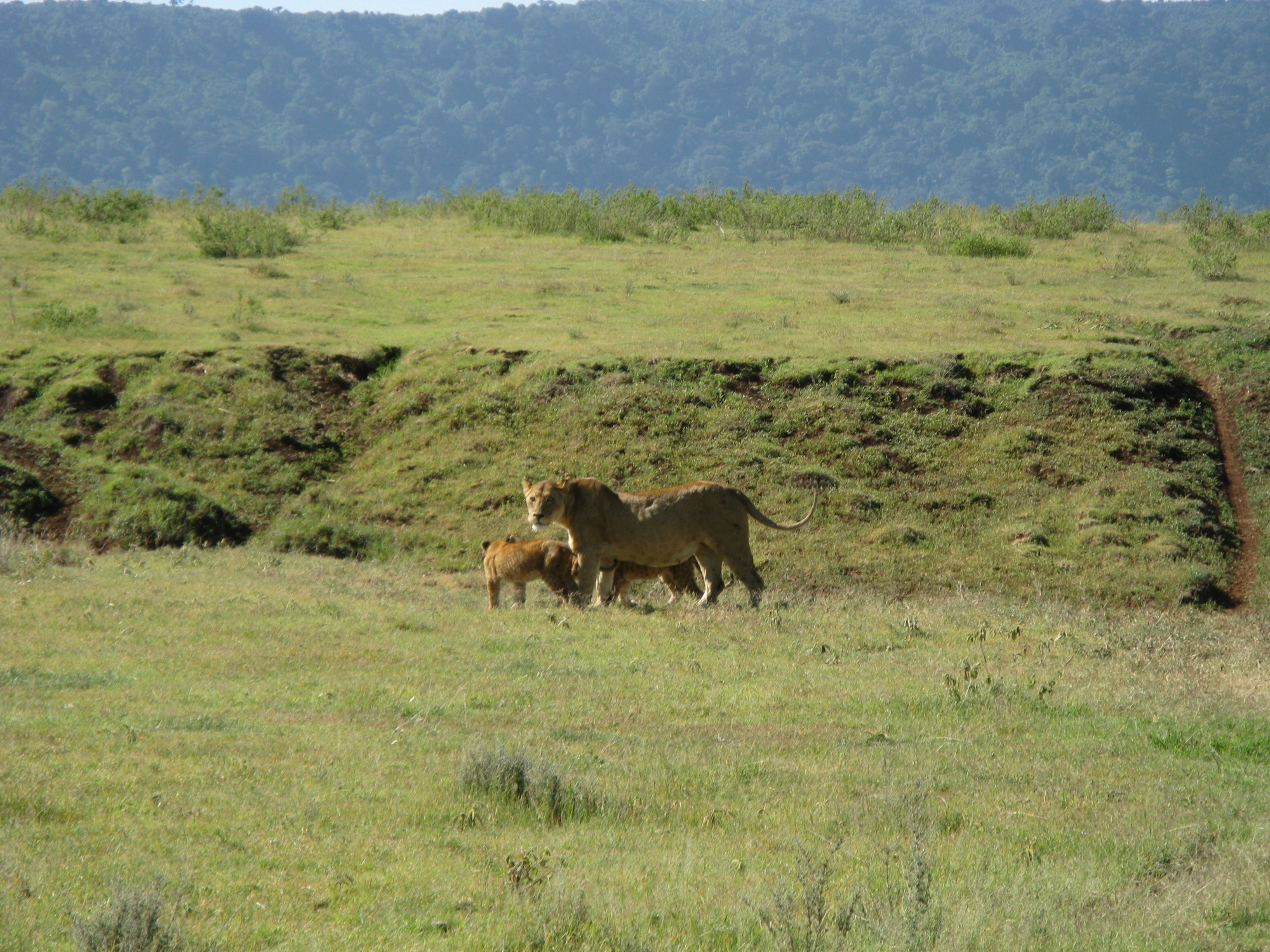 Tanzania