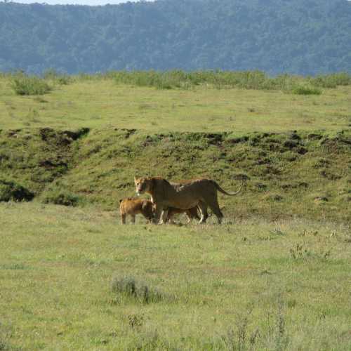 Tanzania