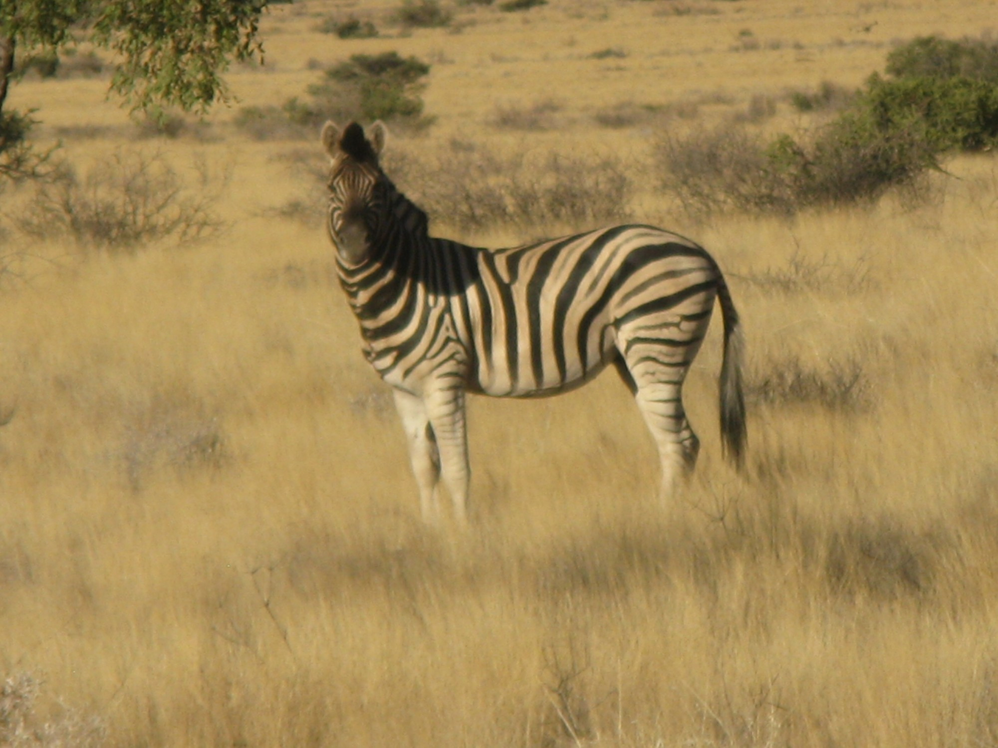 Namibia