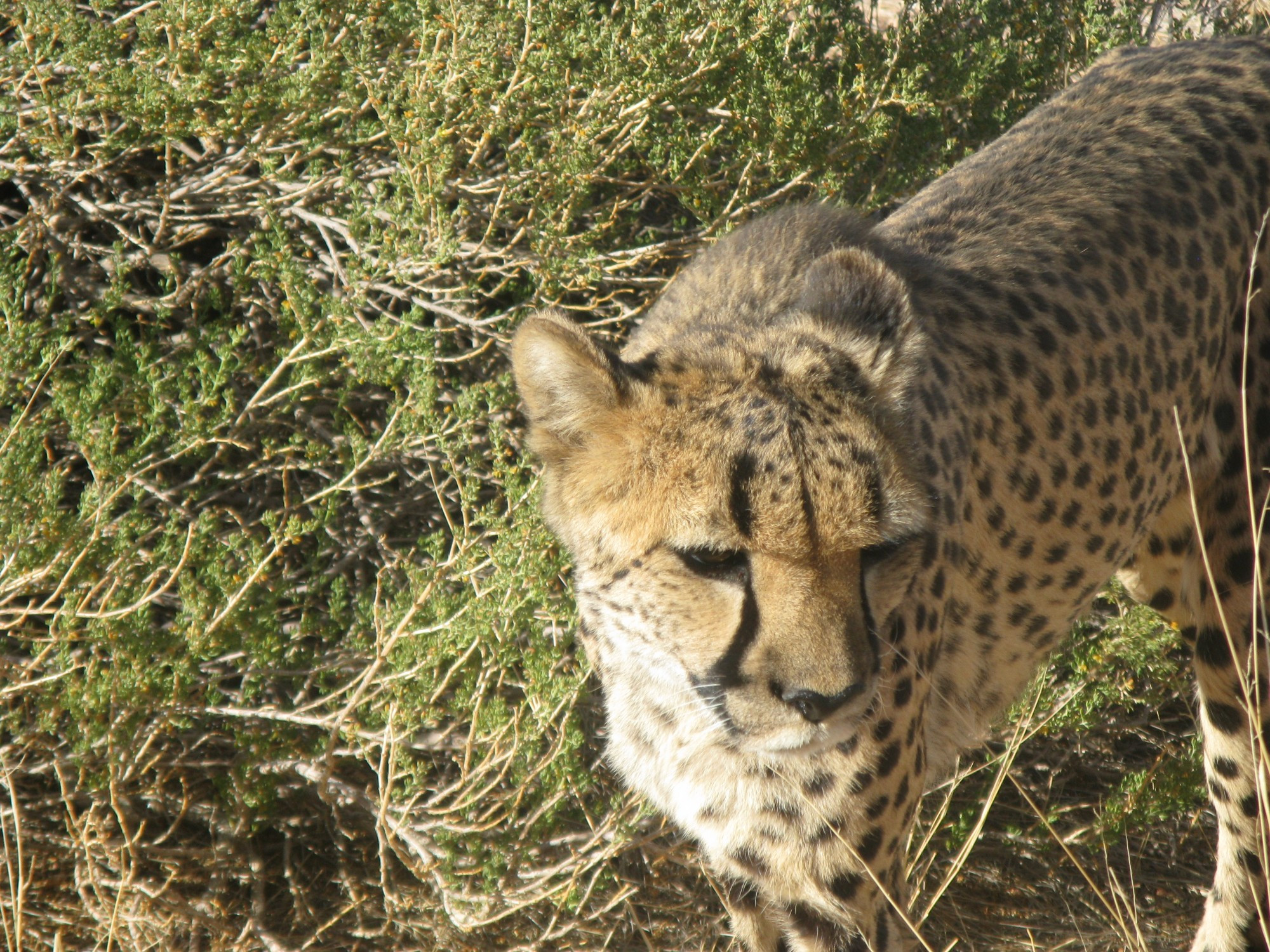 Namibia