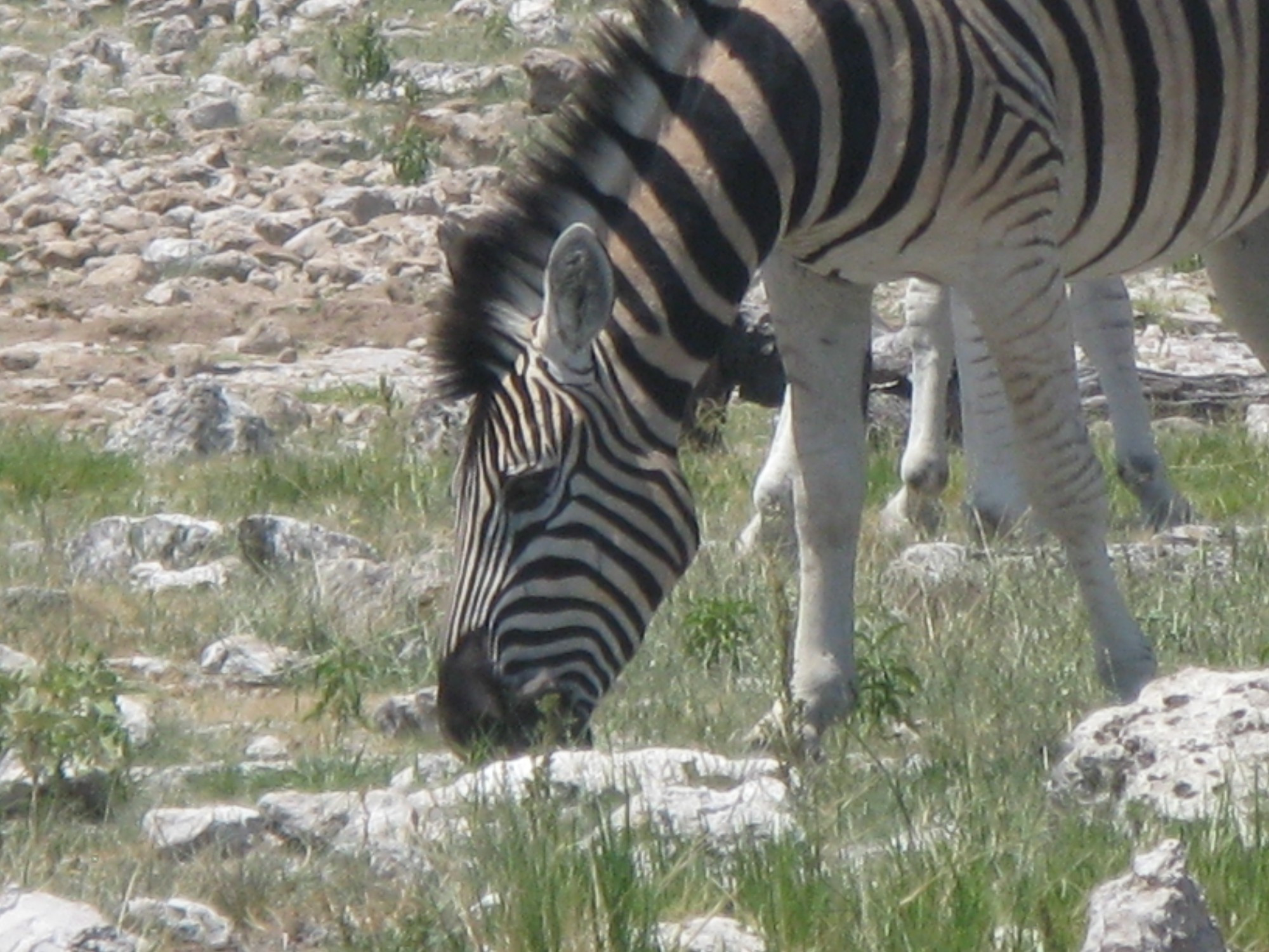 Namibia