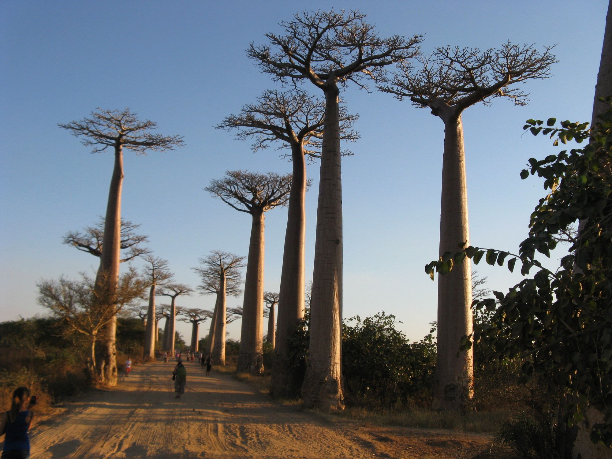 Madagascar