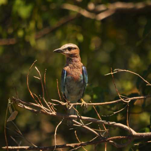 Namibia