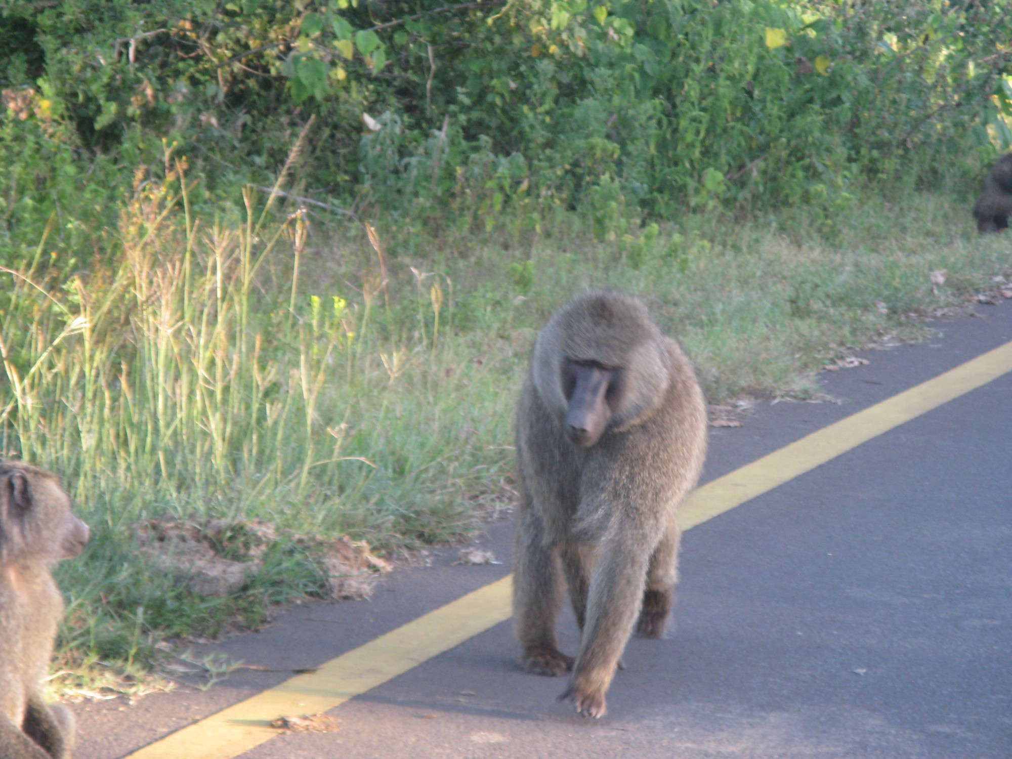 Tanzania