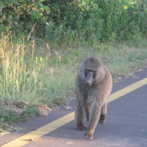 Tanzania