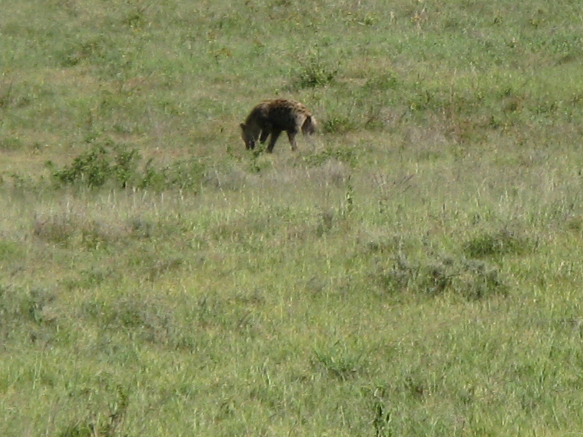 Tanzania