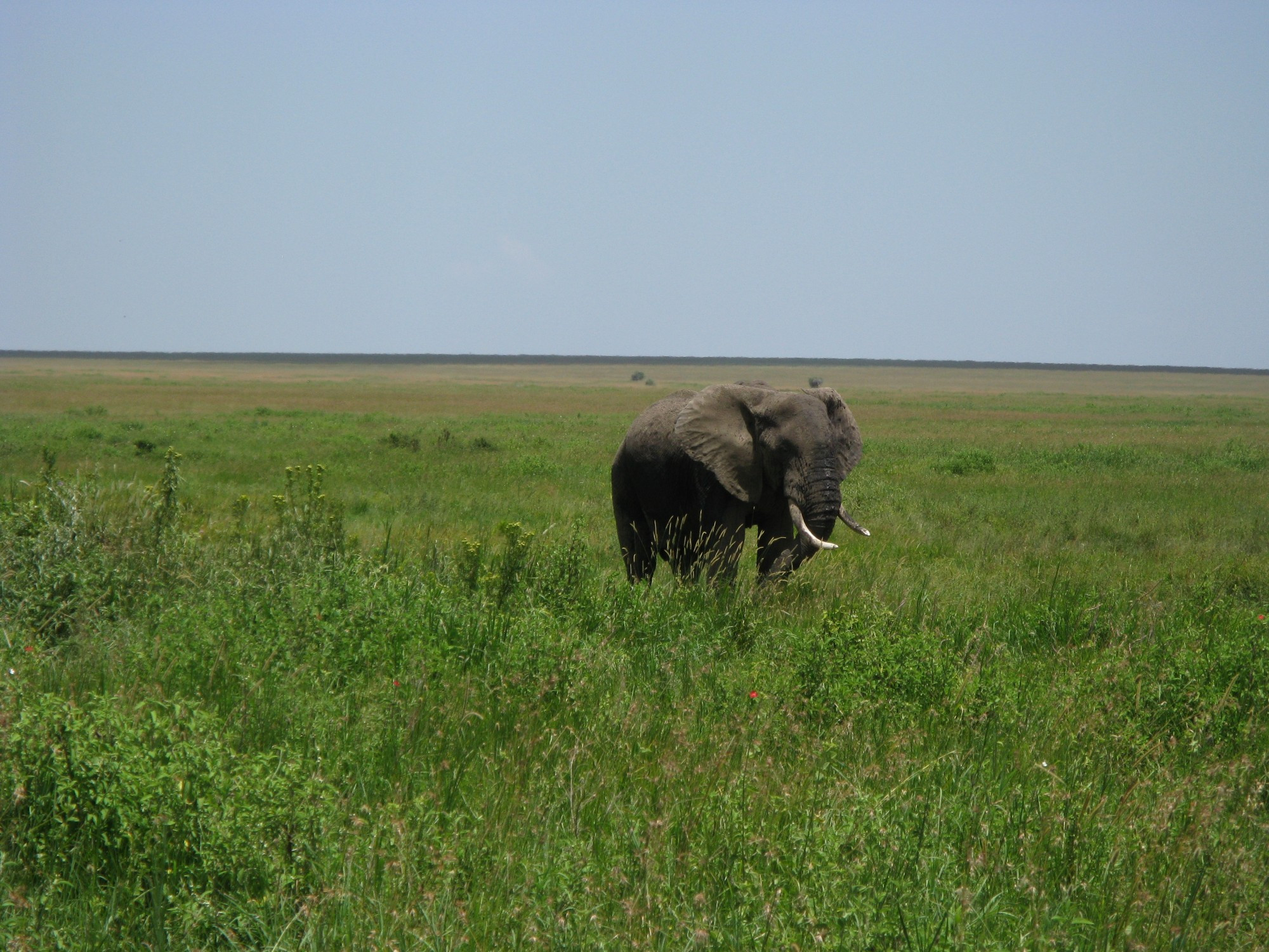 Tanzania