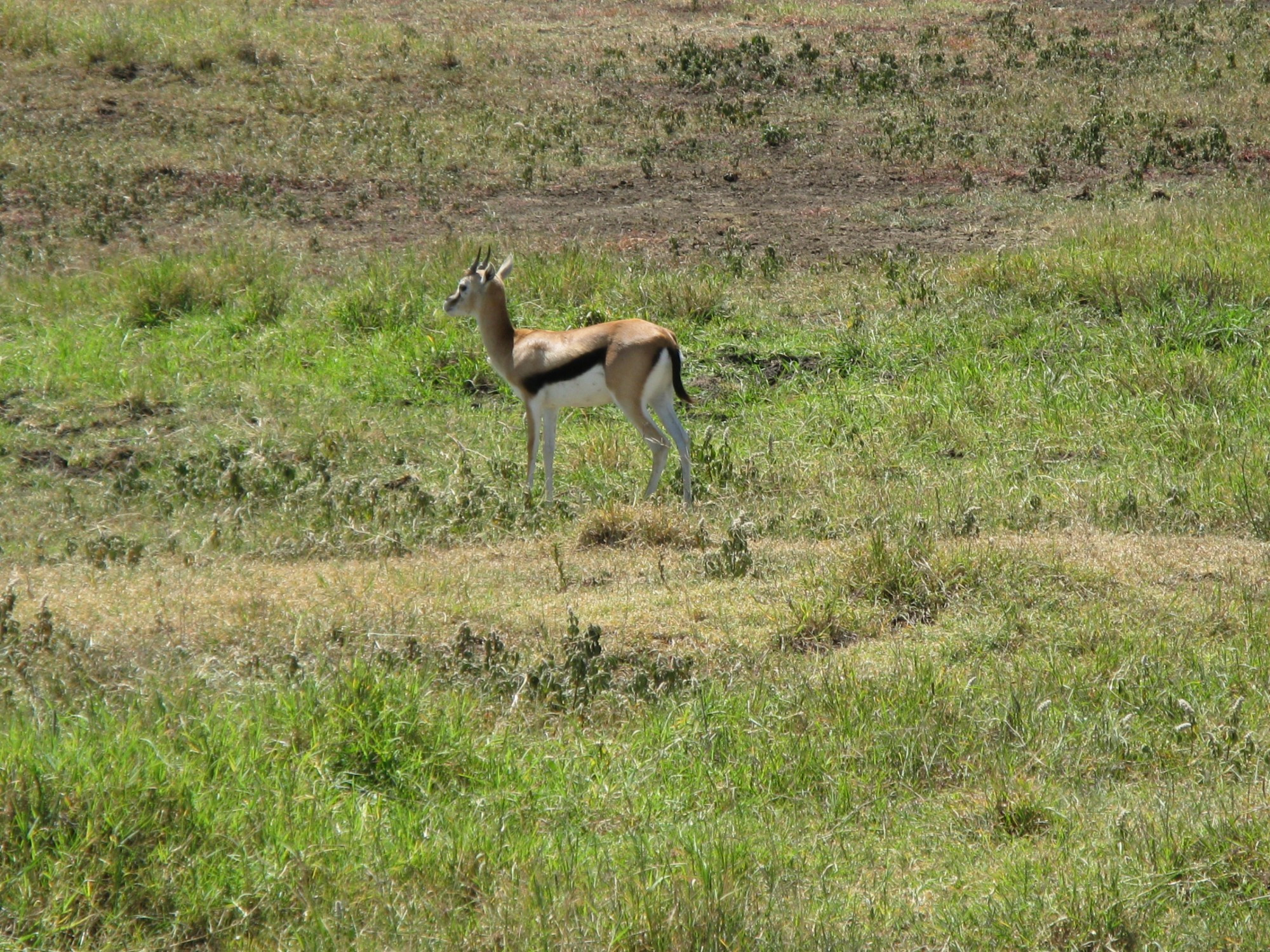 Tanzania