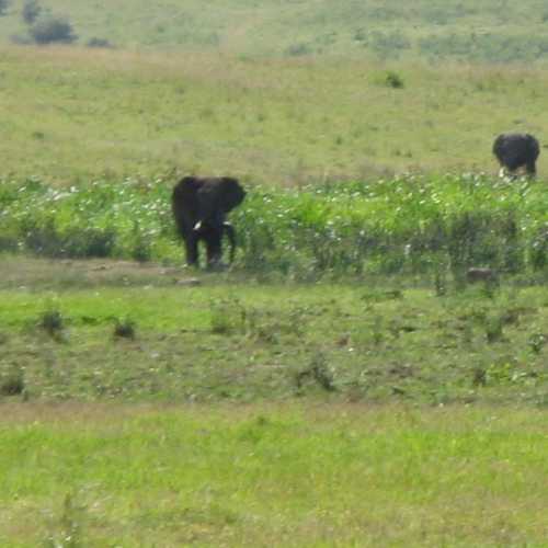 Tanzania