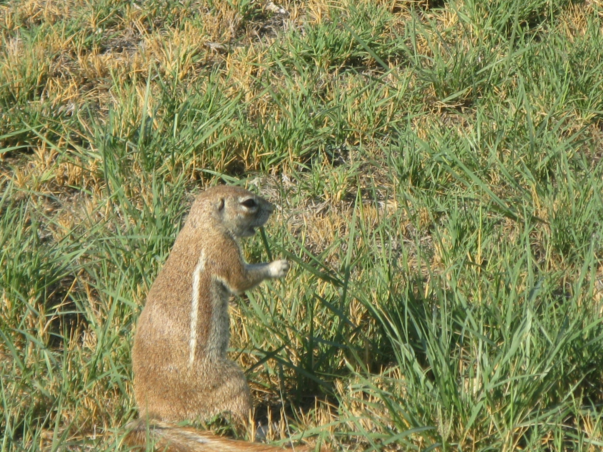 Namibia