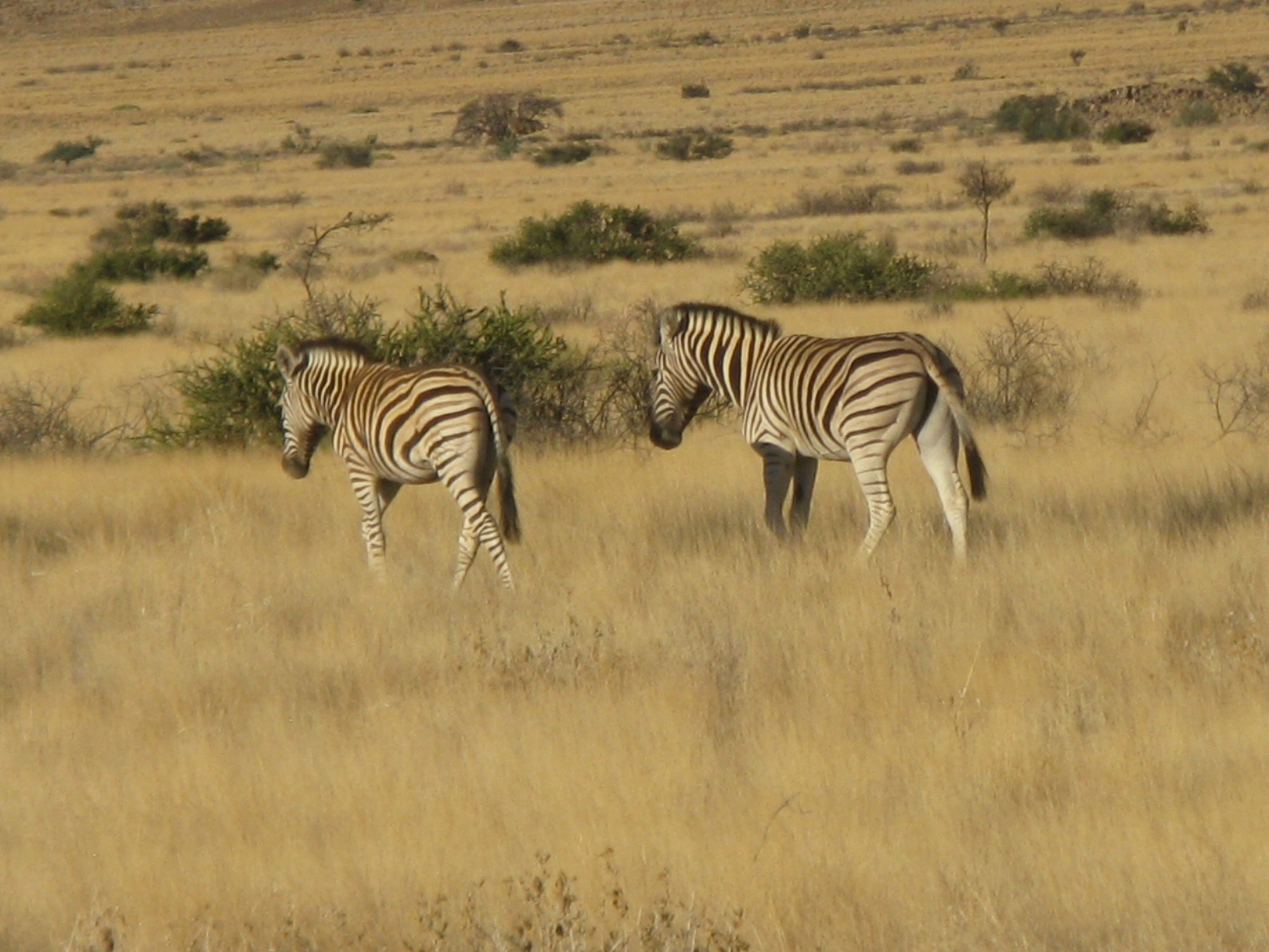 Namibia