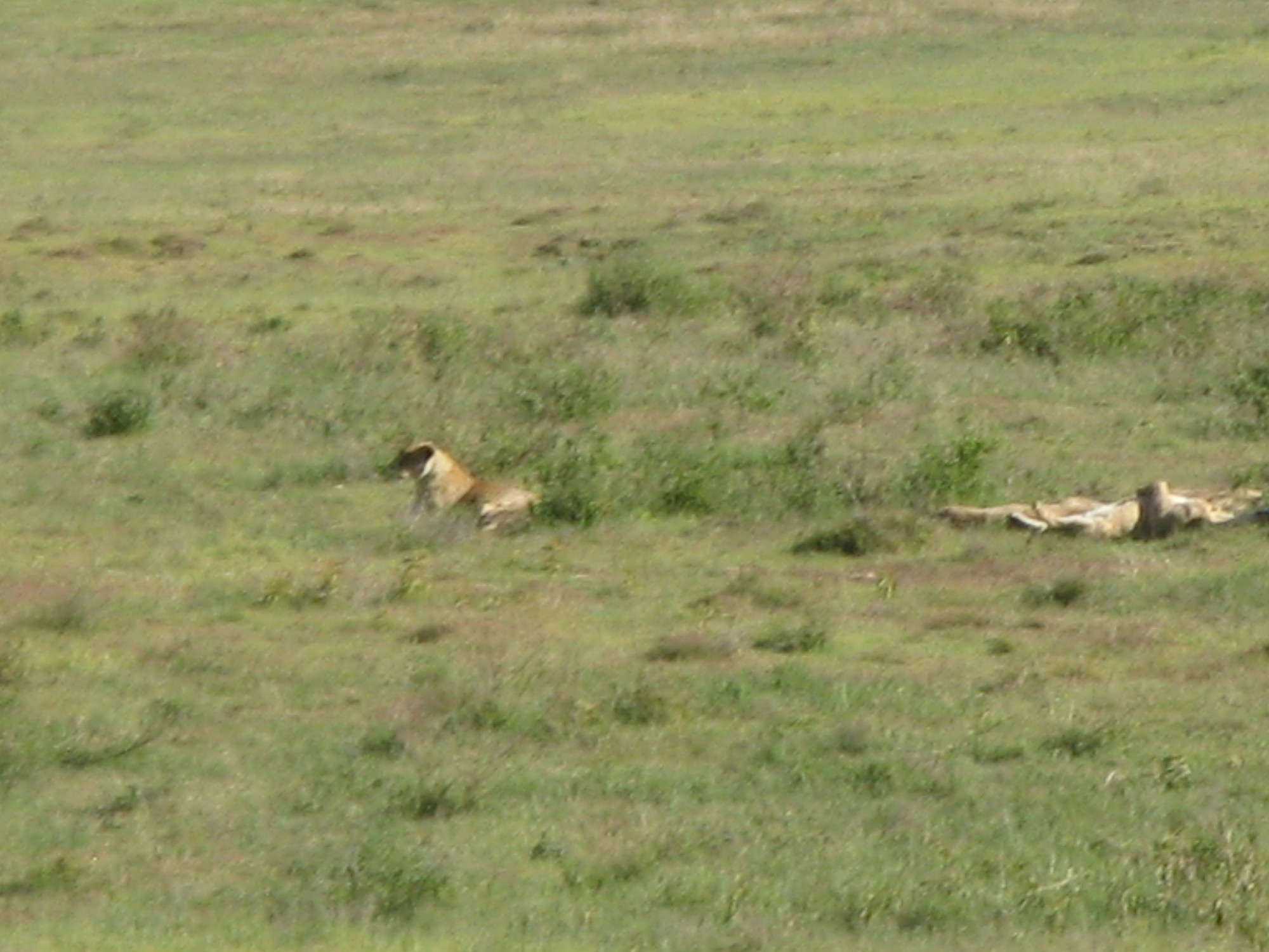 Tanzania