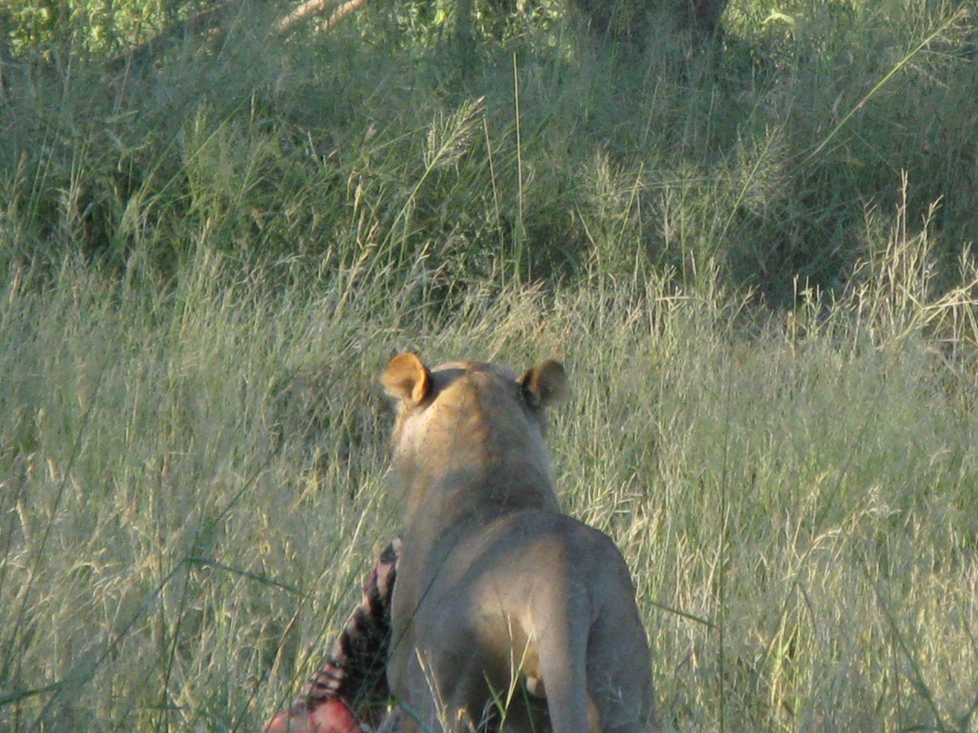 Botswana