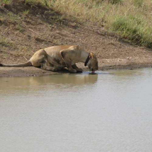 Tanzania